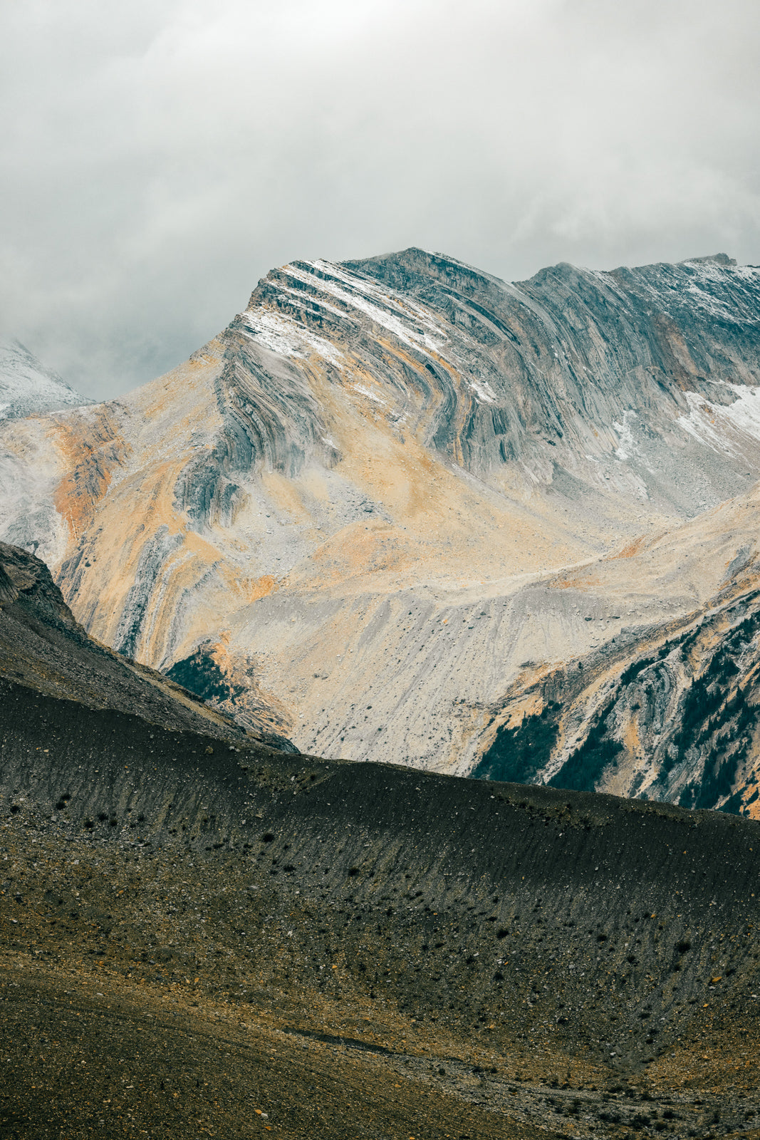 Iceline Geological Study II, Yoho National Park