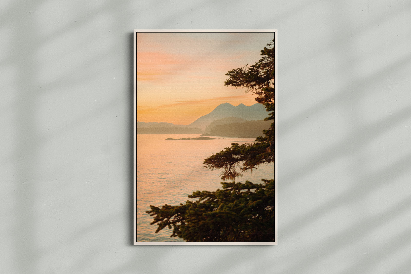 Clayoquot Sunset Hues, Shore Pines, Tofino BC