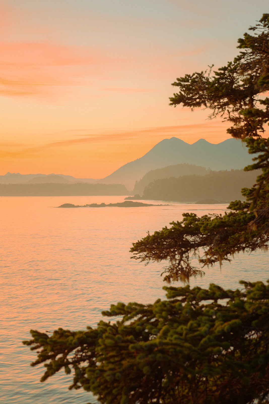 Clayoquot Sunset Hues, Shore Pines, Tofino BC