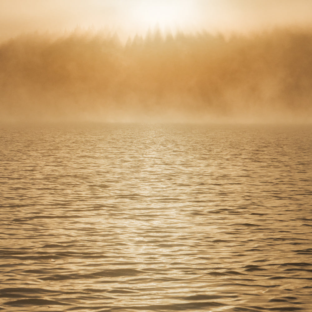 Campbell Lake Sunrise, Sayward Canoe Circuit