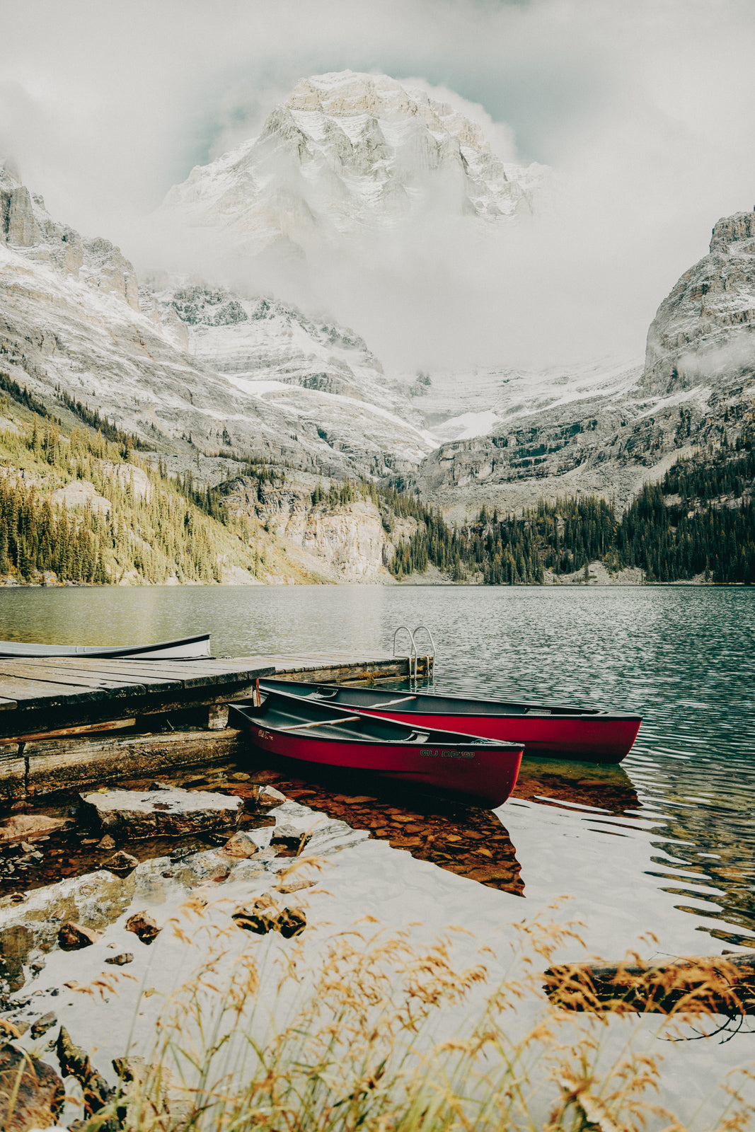 Monolith In The Mist, Lake O'hara Yoho National Park
