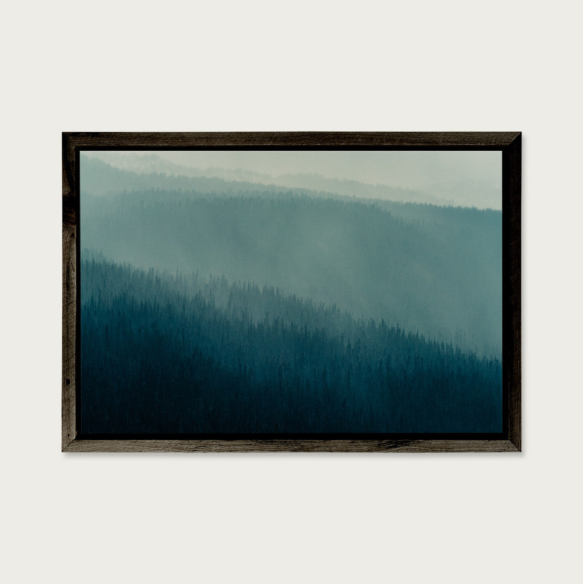 Forest Layers, Heckman Pass II