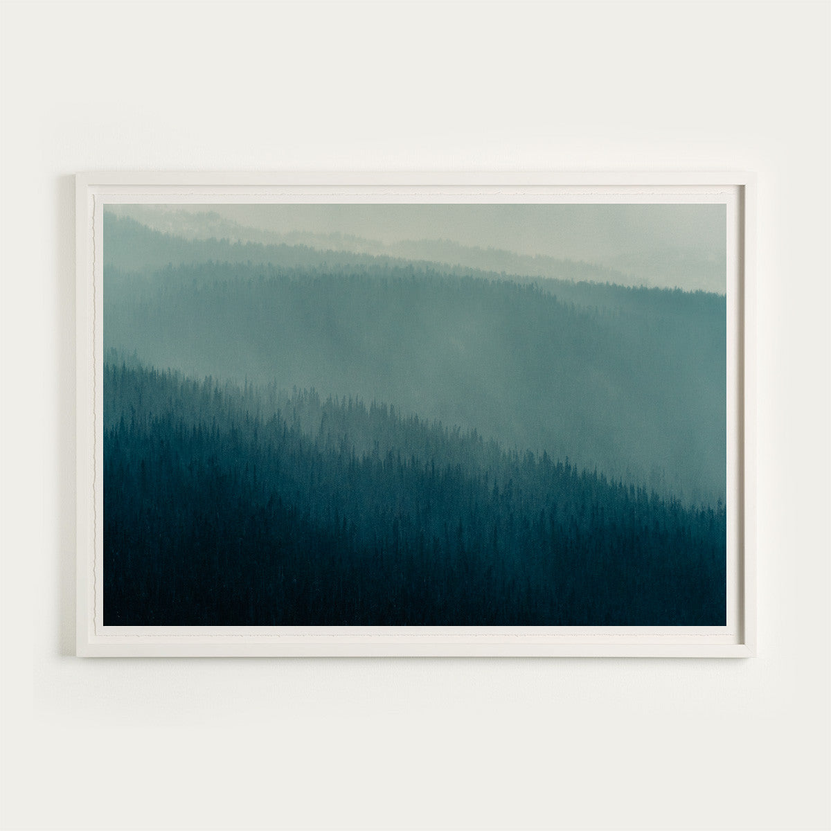 Forest Layers, Heckman Pass II