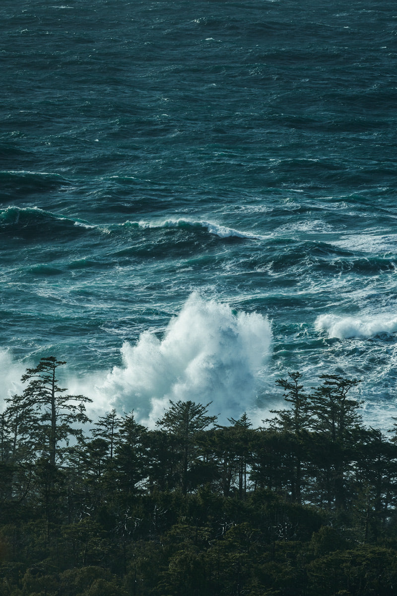 Sea Tempest, Tofino BC