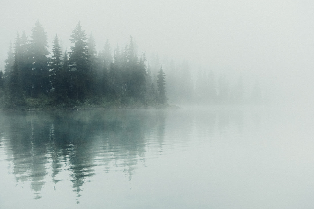 Callaghan Fog