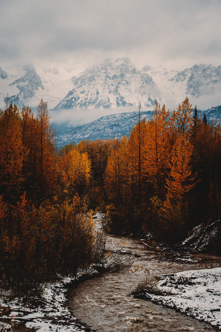 Autumn Northern British Columbia I