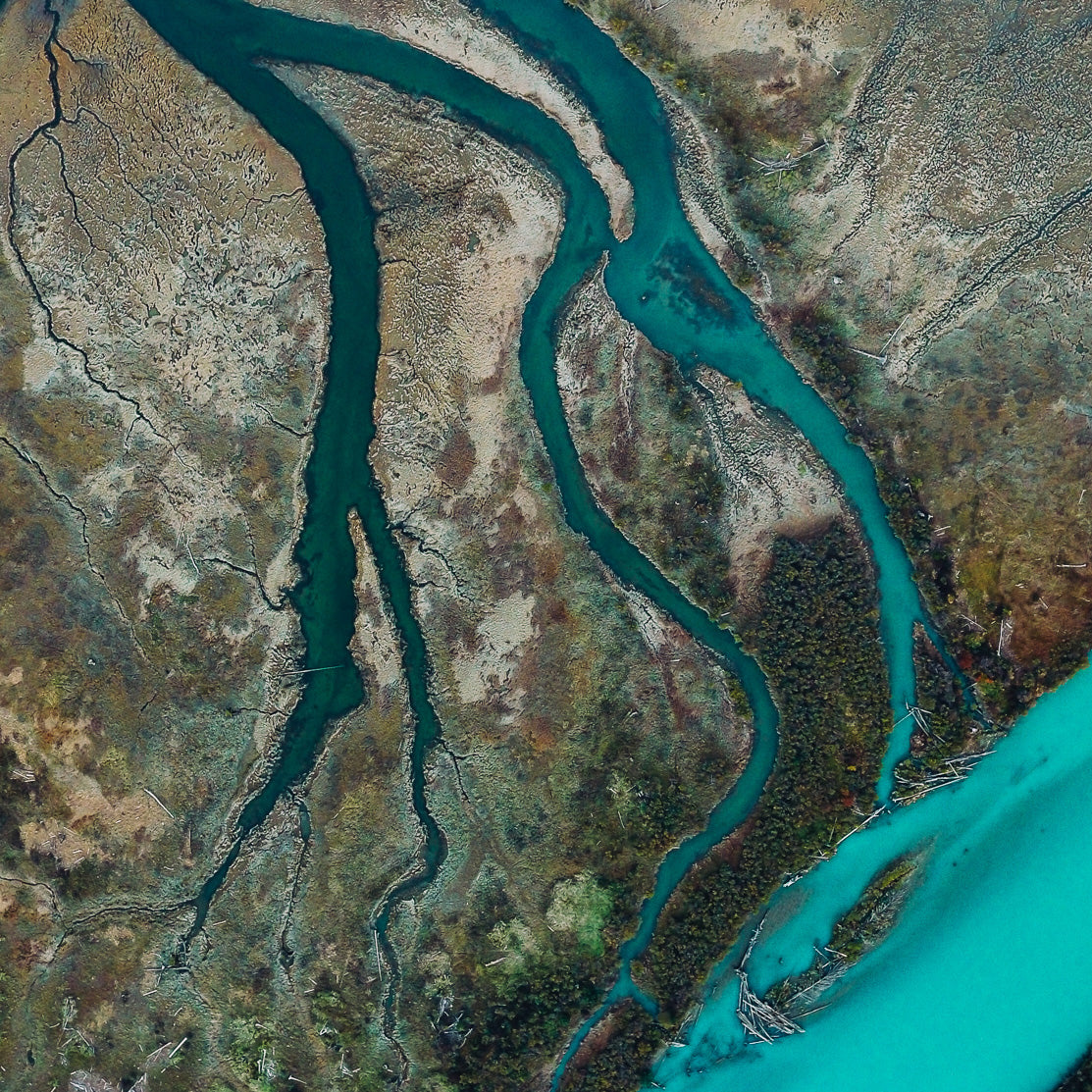 Bella Coola Estuary