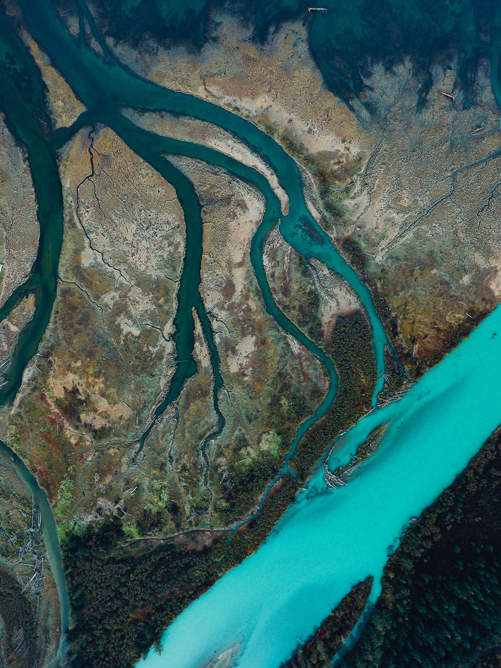 Bella Coola Estuary