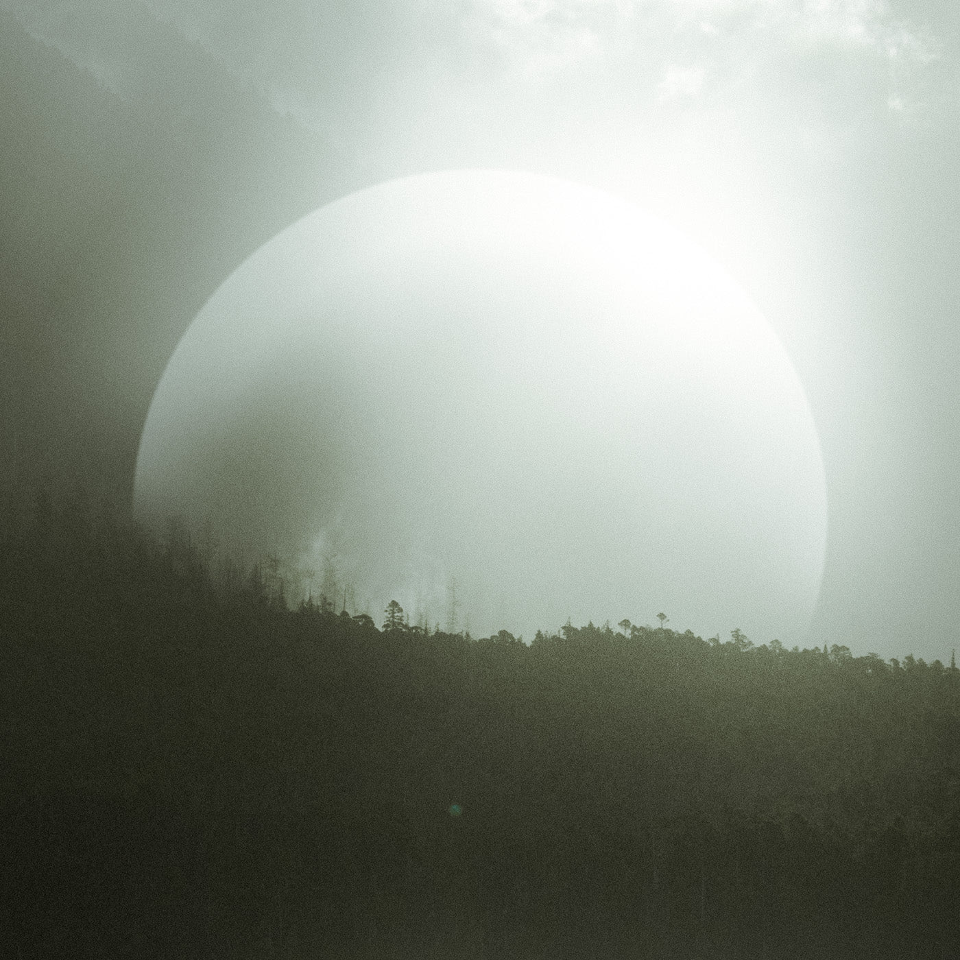 Biosphere, Haida Gwaii