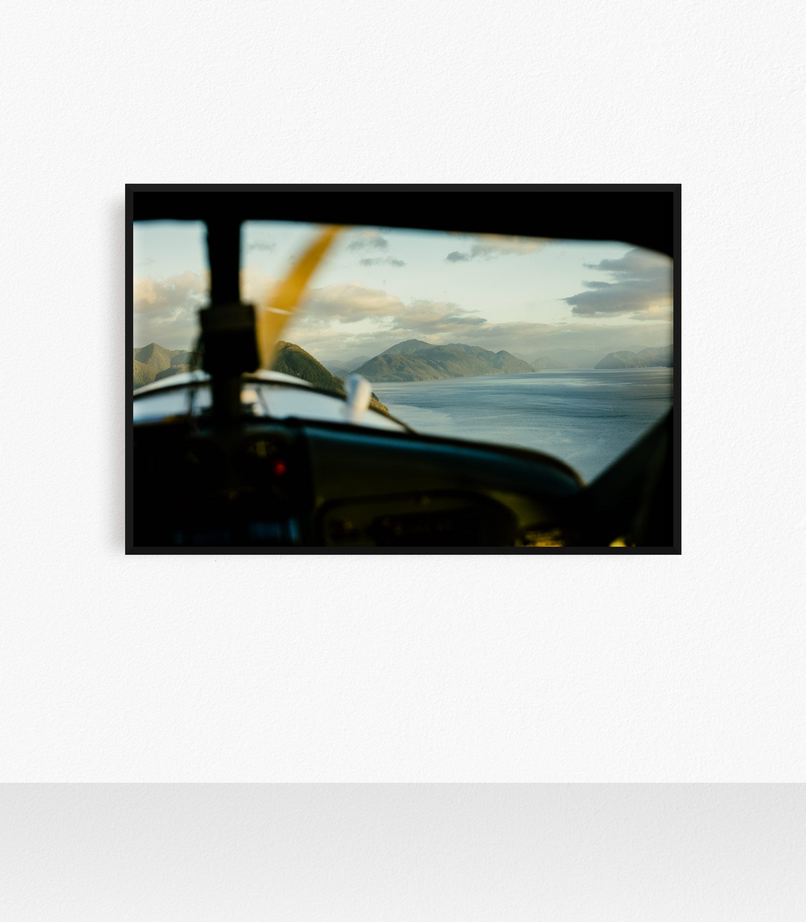 Central Coast Flight