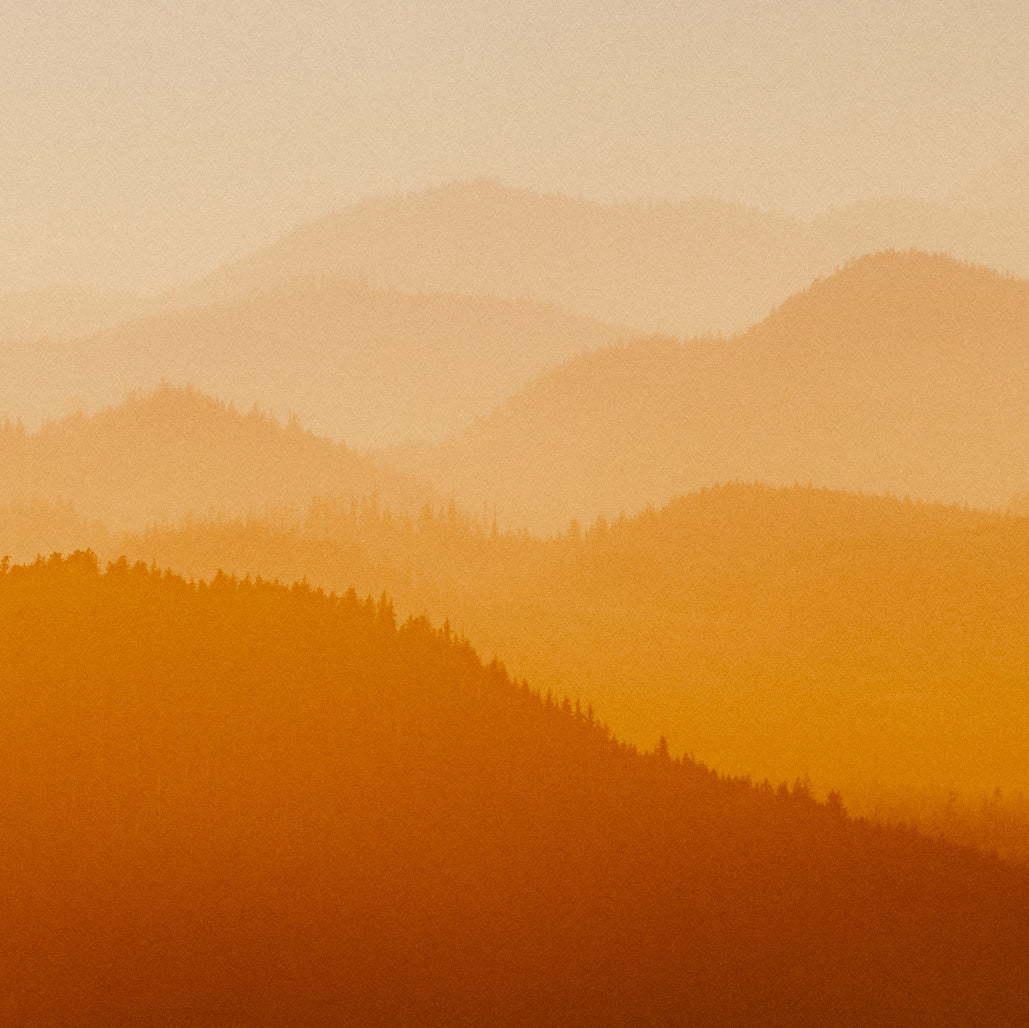 Clayoquot Layers