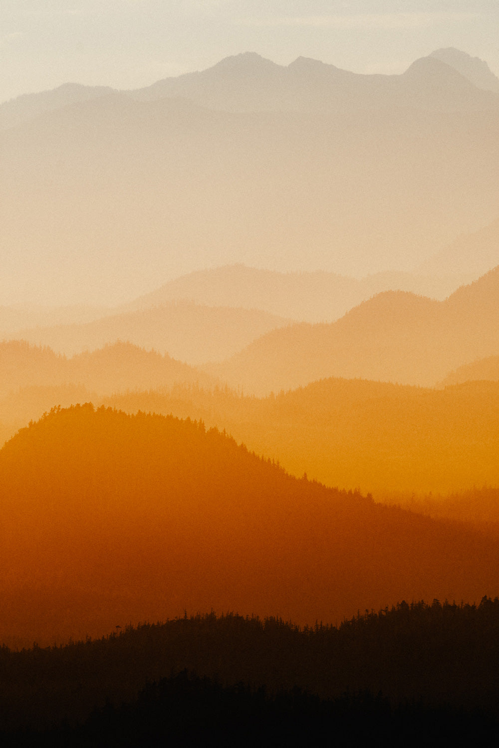 Clayoquot Layers