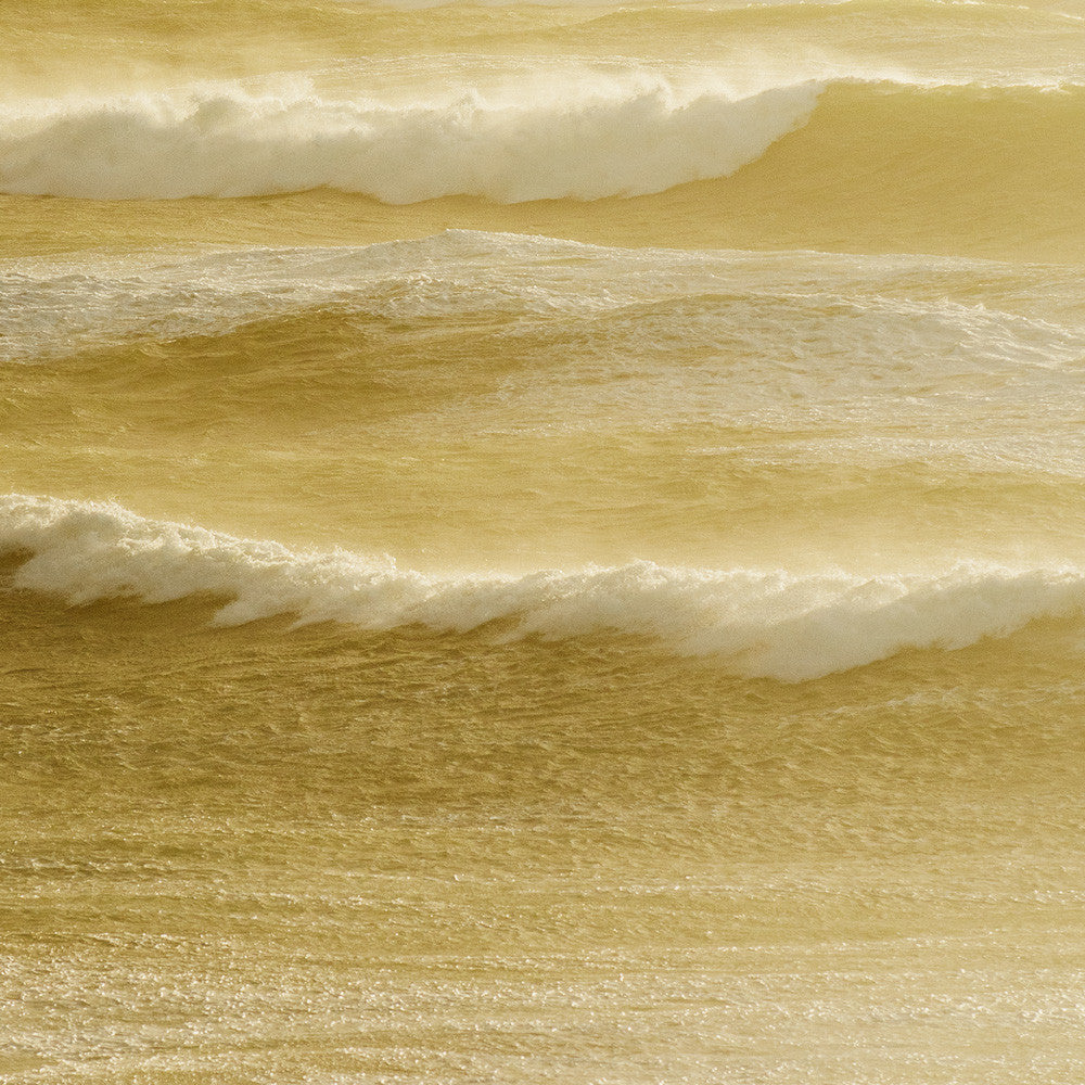 Cox Bay Golds