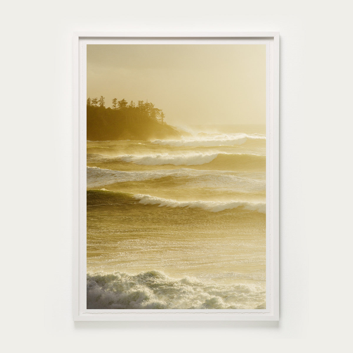 Cox Bay Golds