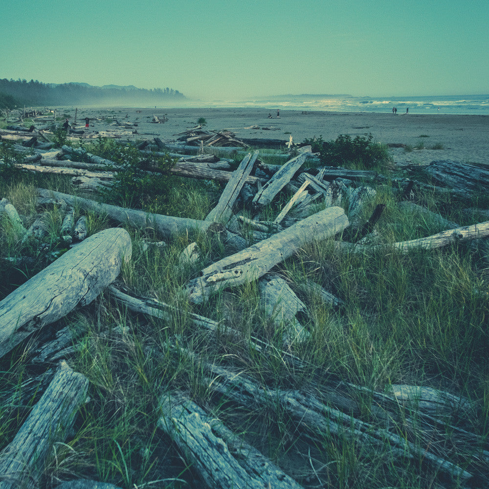 Driftwood Boneyard