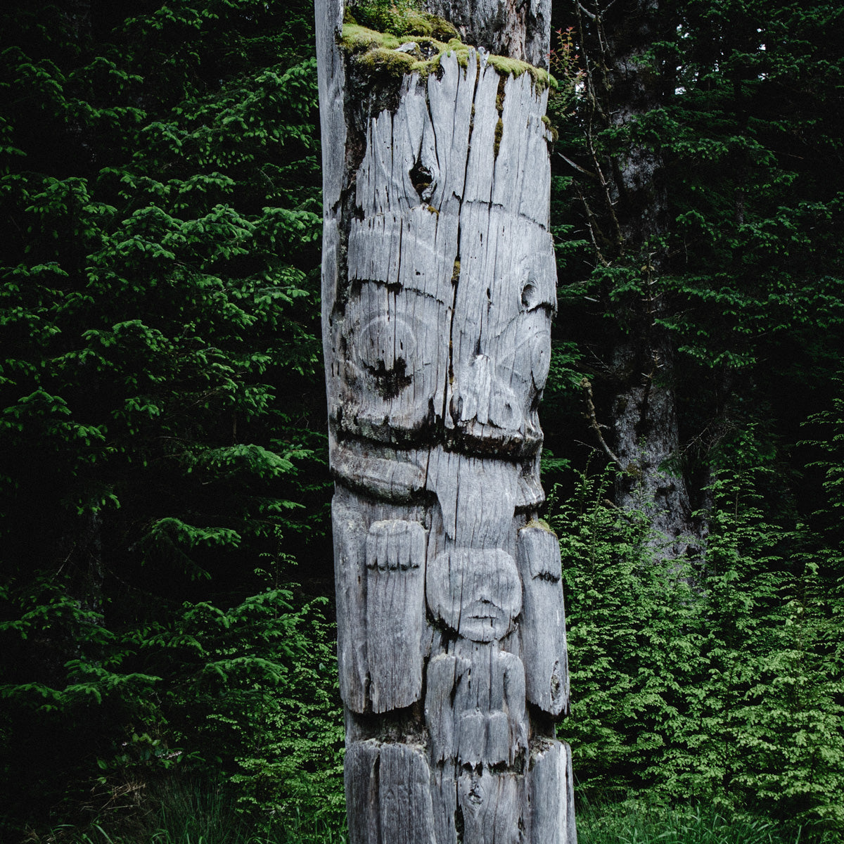 SGang Gwaay (Ninstints), Haida Gwaii II