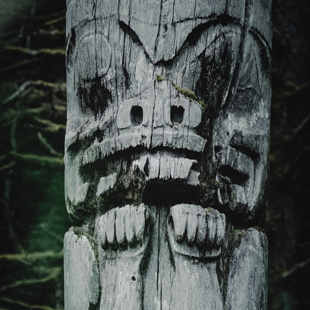 SGang Gwaay (Ninstints), Haida Gwaii I