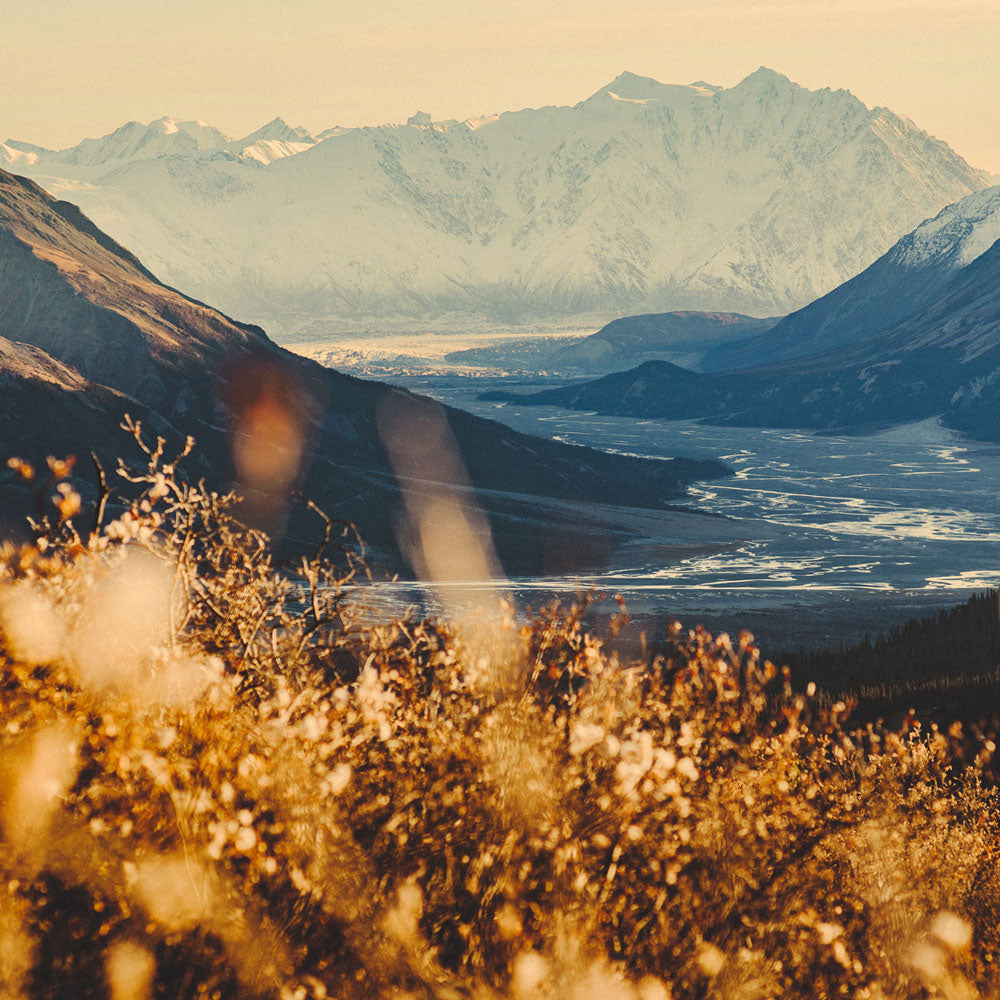 Kluane Portrait, Kluane National Park, Yukon