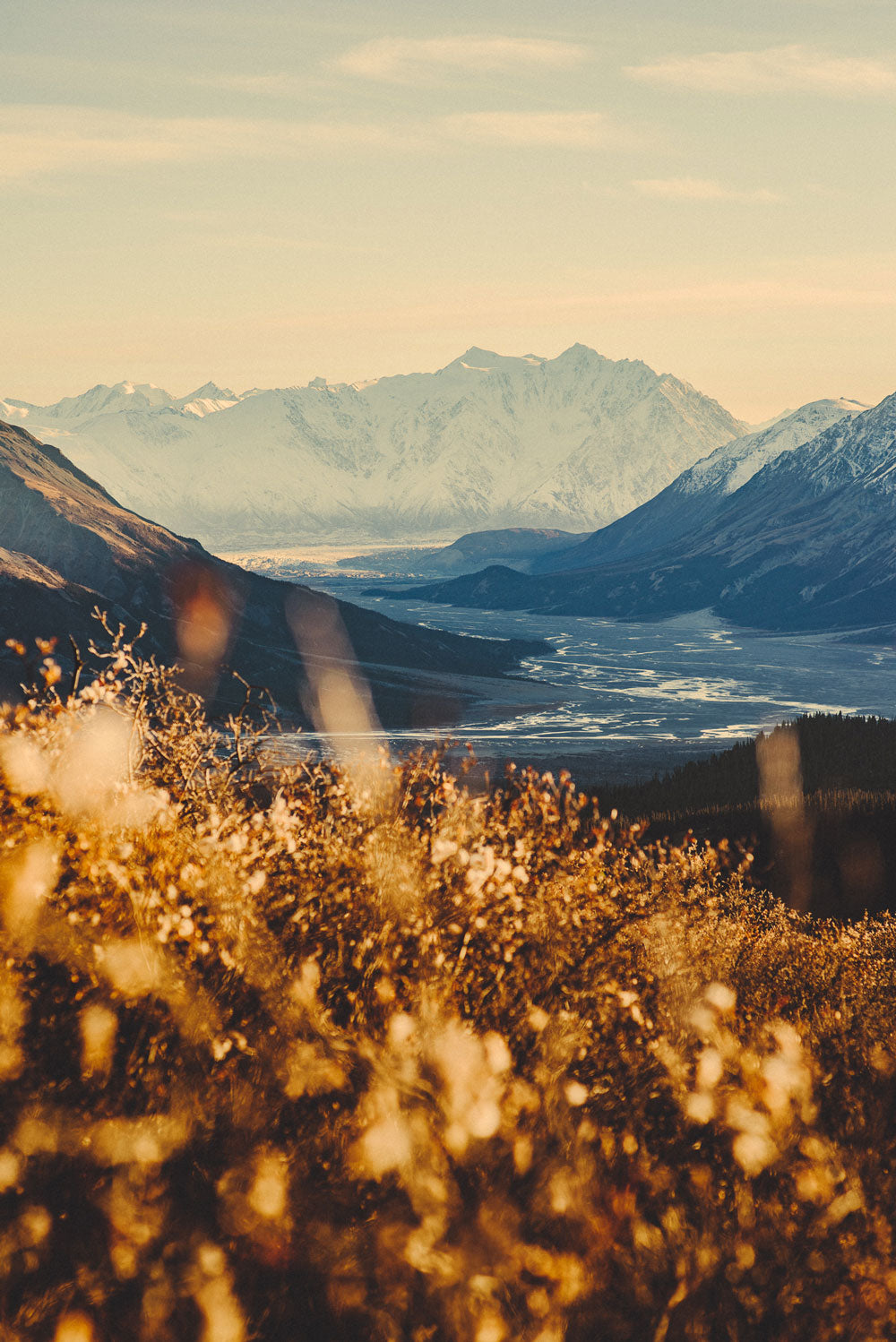 Kluane Portrait, Kluane National Park, Yukon