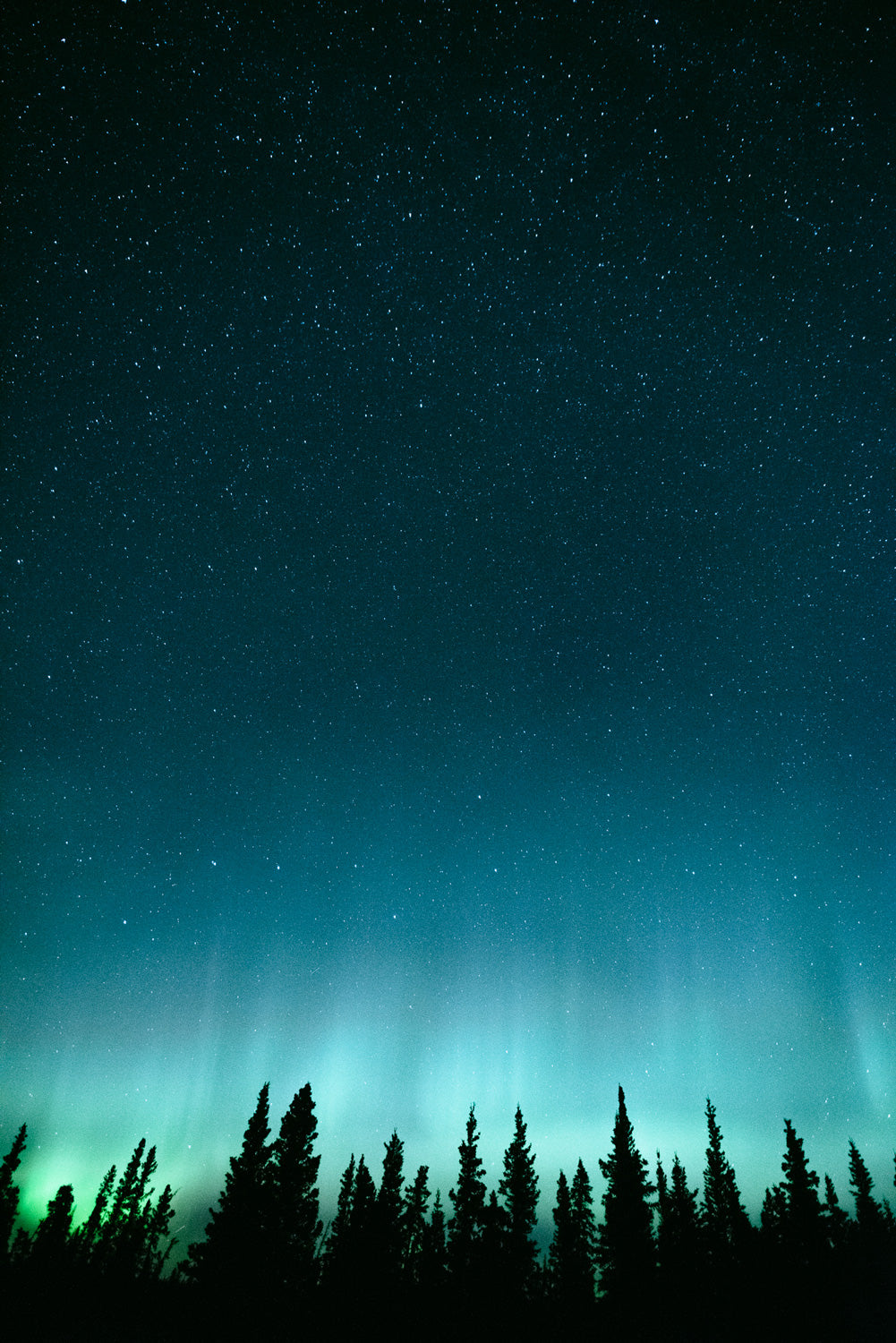 Kluane Borealis, Yukon Aurora