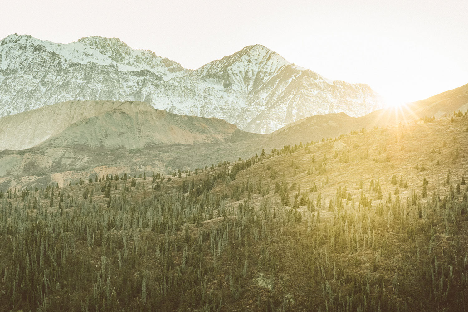 Golden Hour, Kluane National Park, Yukon