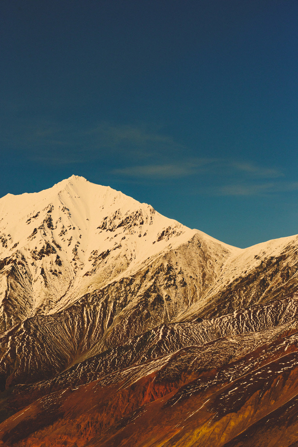 Kluane Reds