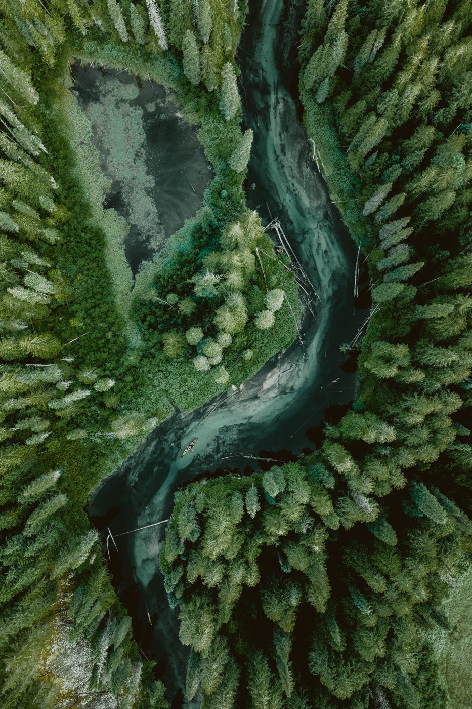 Meandering Through the Kootenay