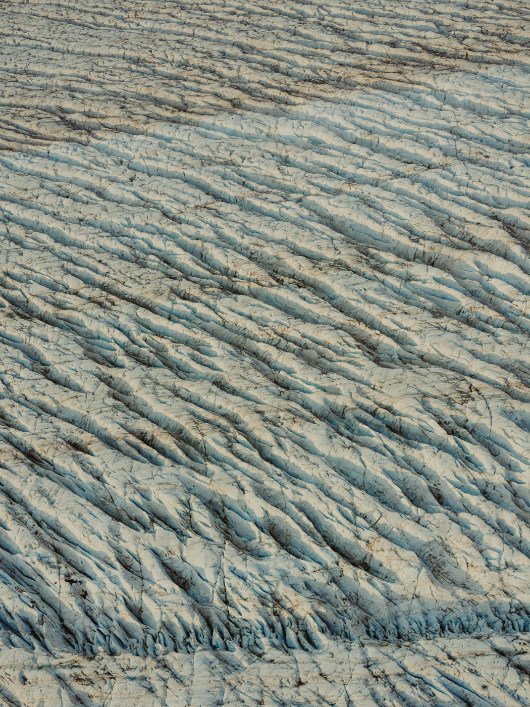 Monarch Icefield II, Bella Coola