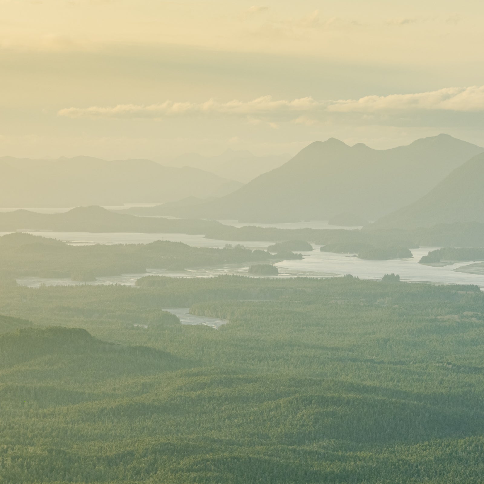 Pacific Rim, Summer Aerial