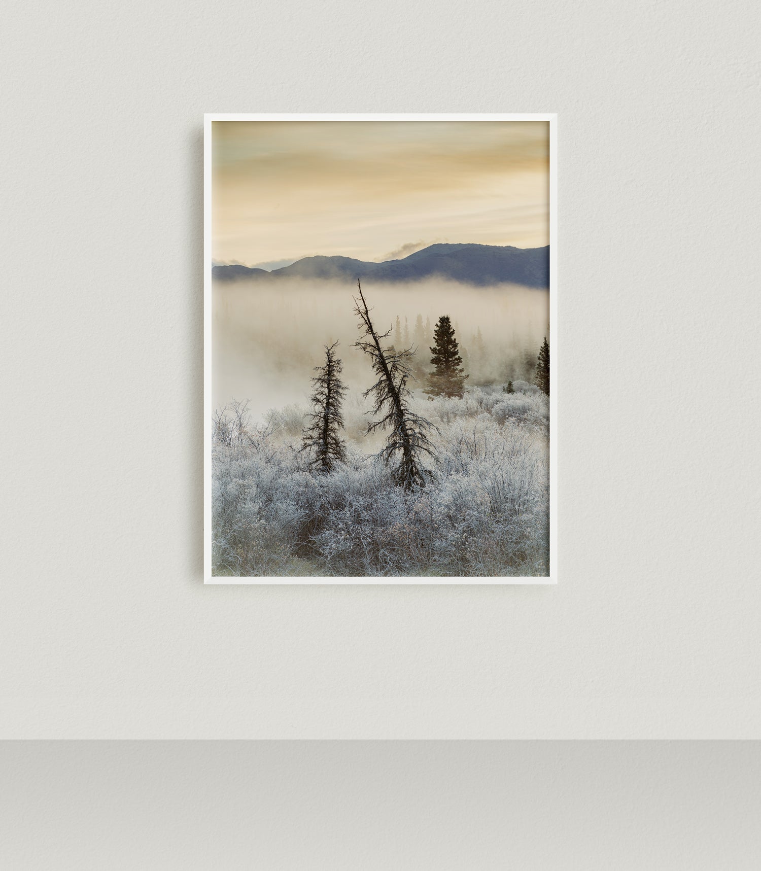 Permafrost, Kluane National Park