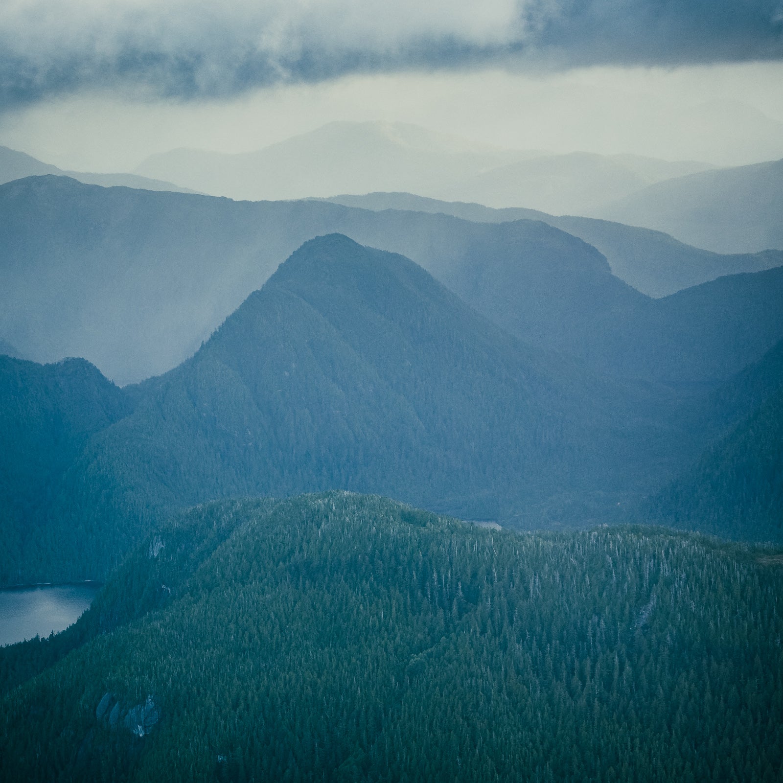 Princess Royal Island, Aerial I