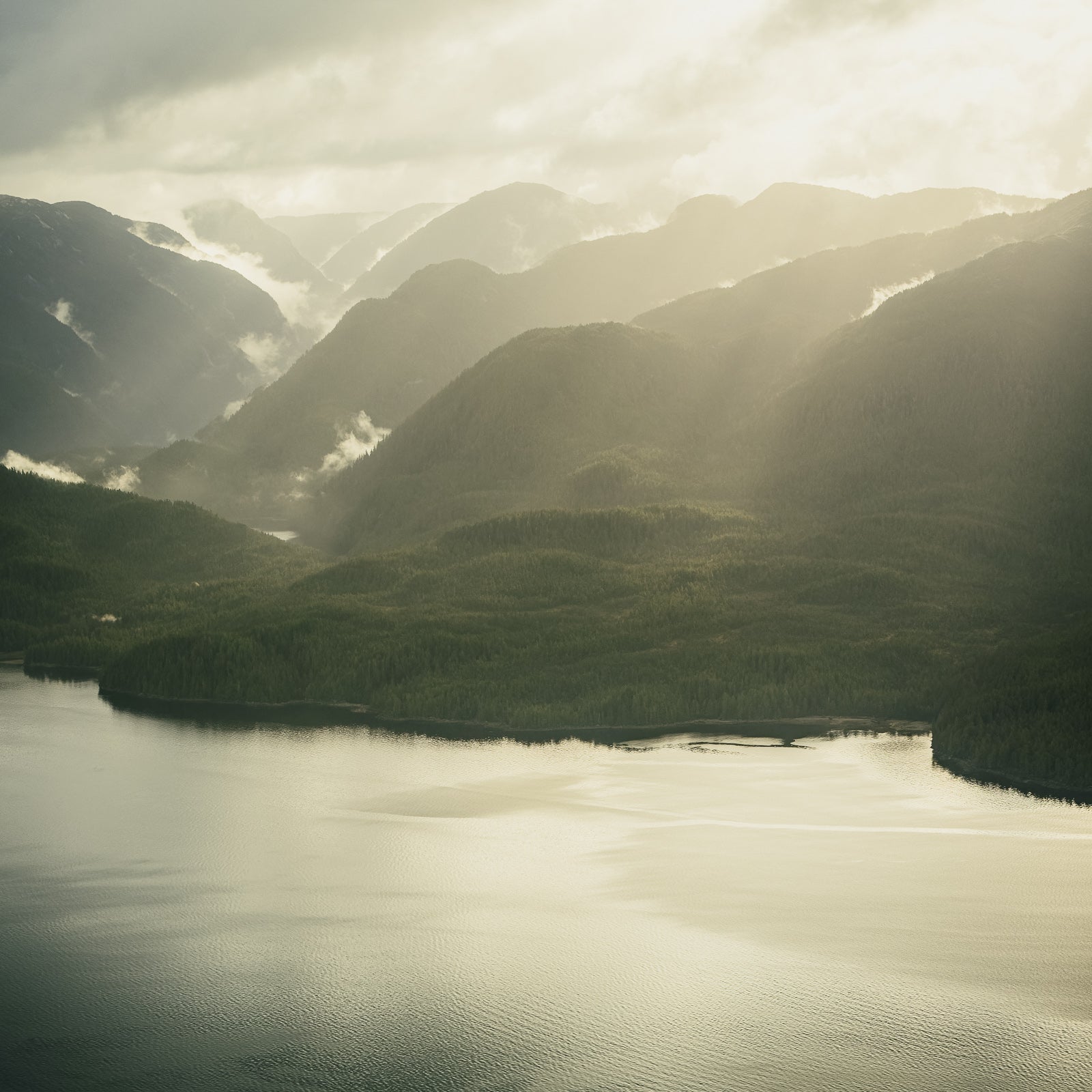 Princess Royal Island, Aerial IV