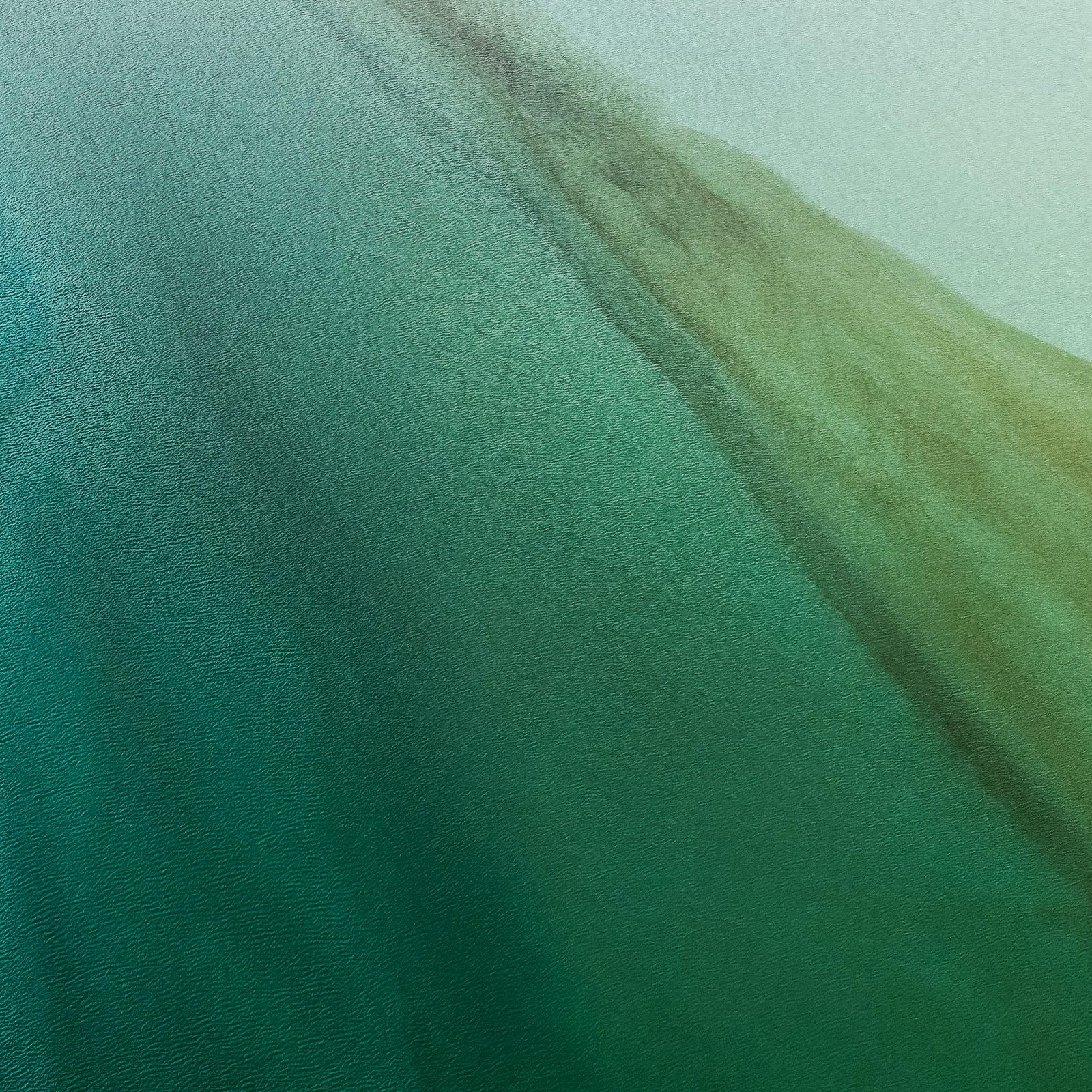 Skeena River Tannins