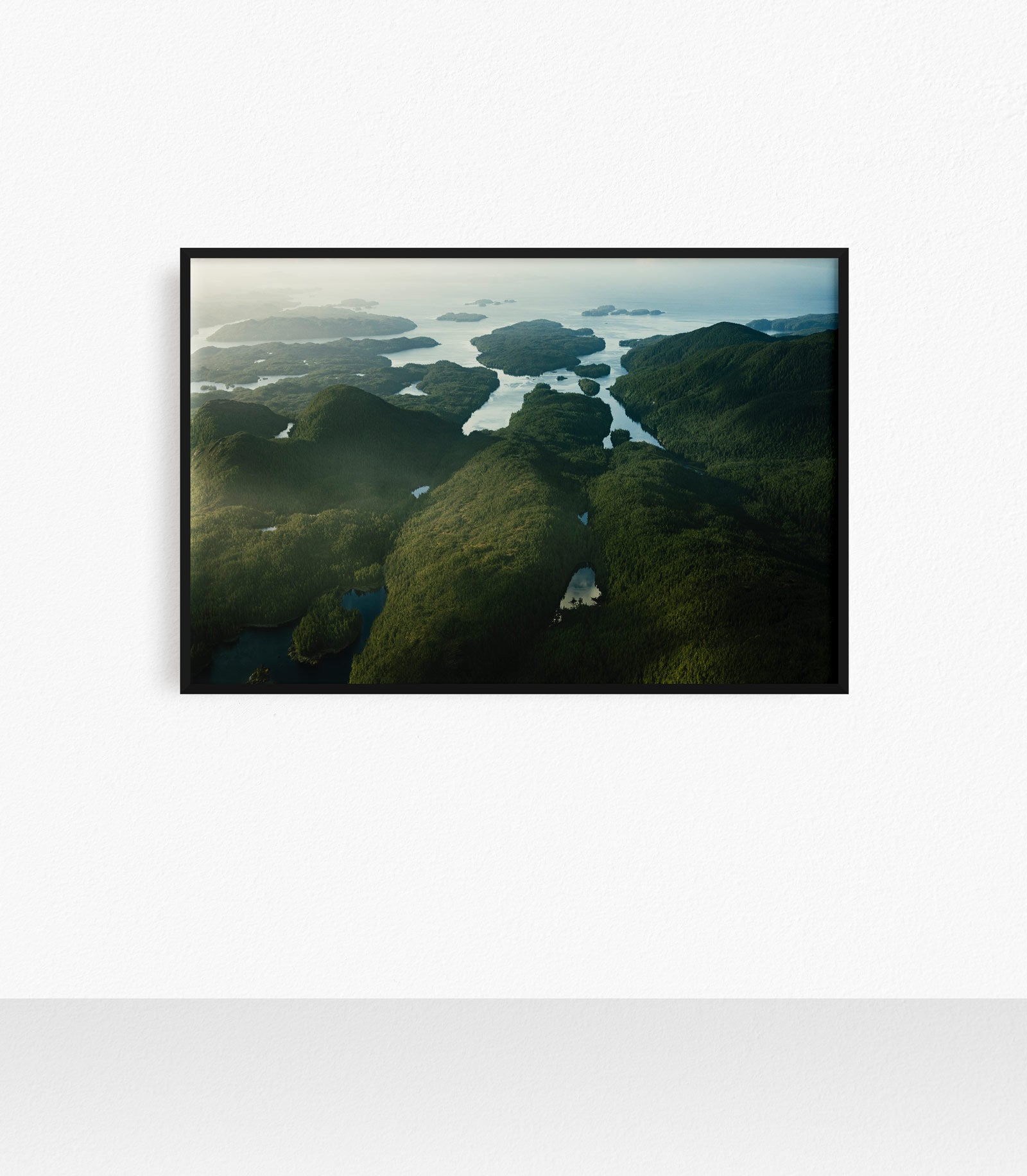 Princess Royal Island, Aerial VIII