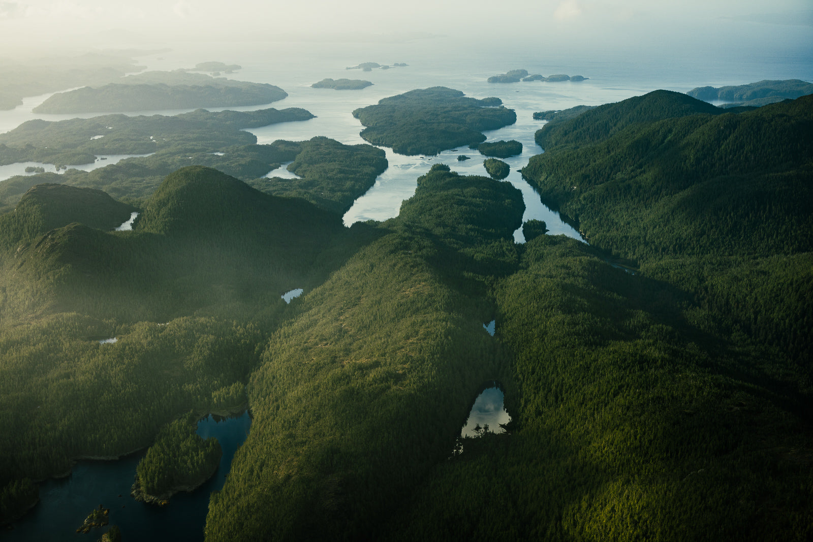 Princess Royal Island, Aerial VIII