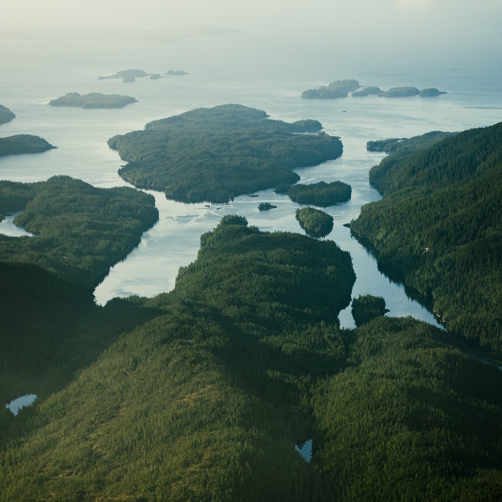 Princess Royal Island, Aerial VIII
