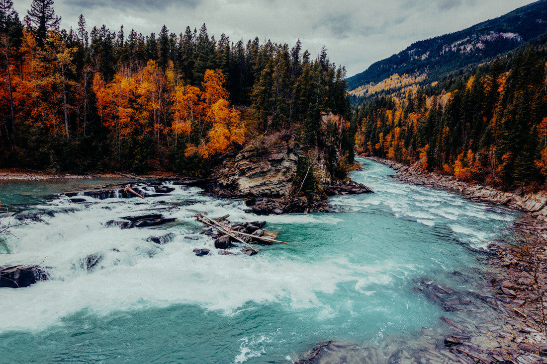 Reargaurd Falls I