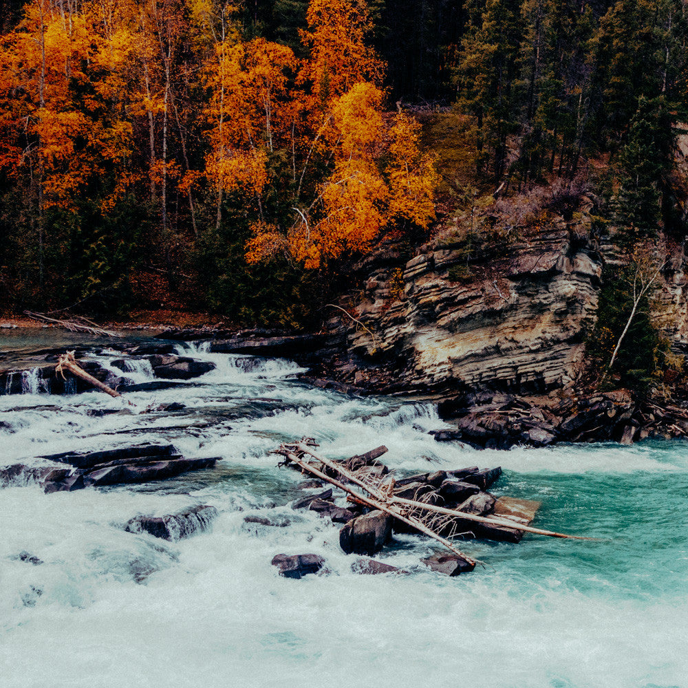 Reargaurd Falls I