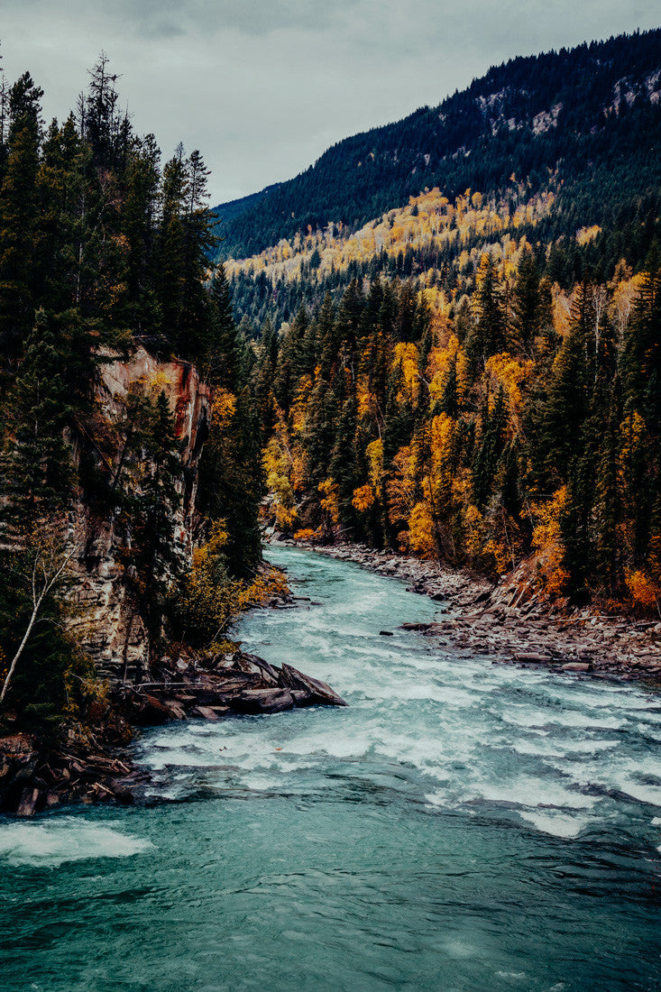 Rearguard Falls II