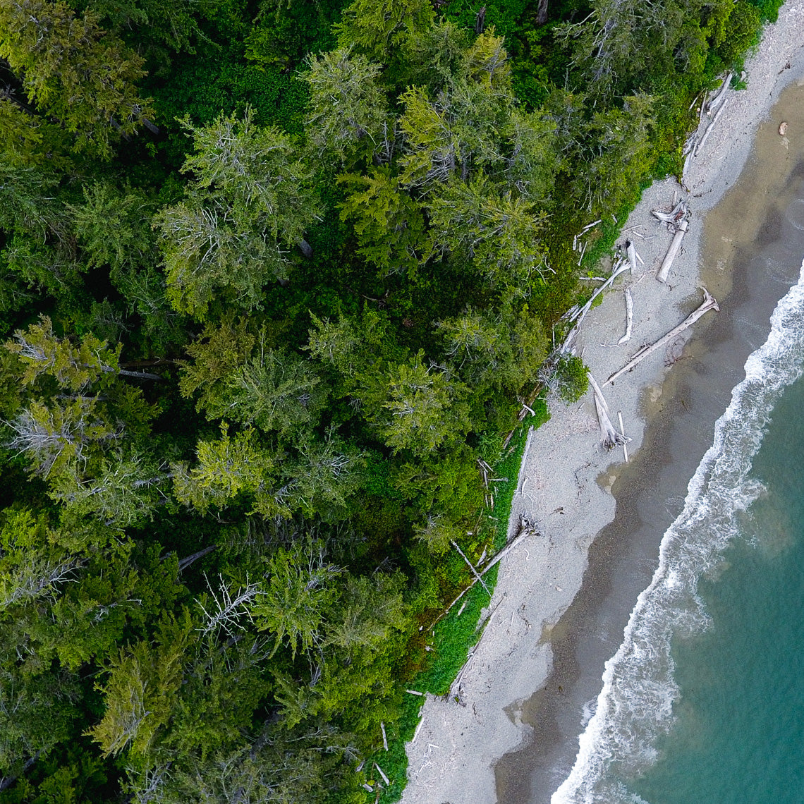 Rennel Sound, Haida Gwaii