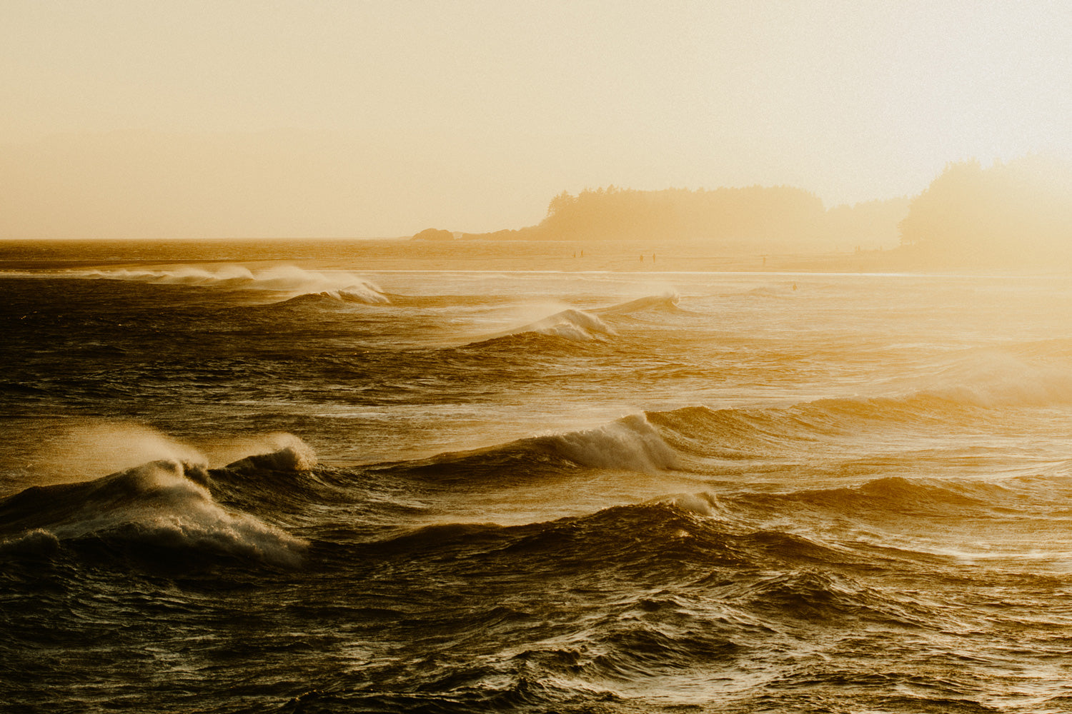 South Swell, Chesterman Beach