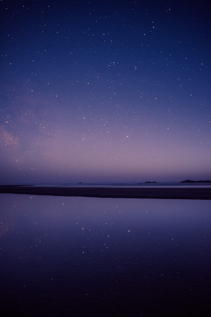 Stars in the Tide Pool, Pacific Rim National Park