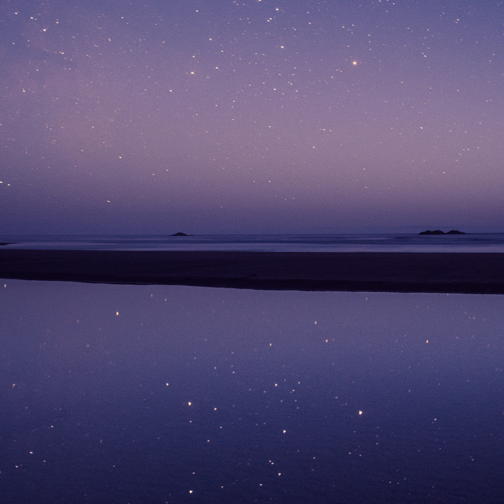 Stars in the Tide Pool, Pacific Rim National Park