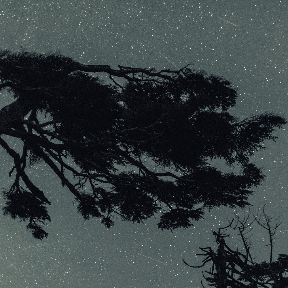 Starry Night, Tofino, BC