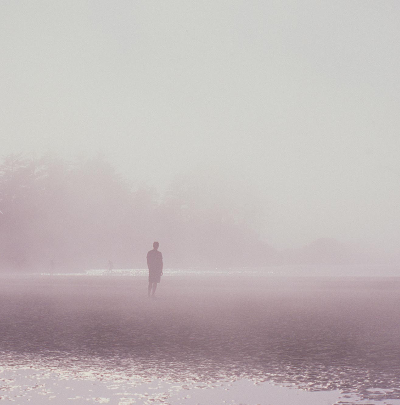 Summer Mist