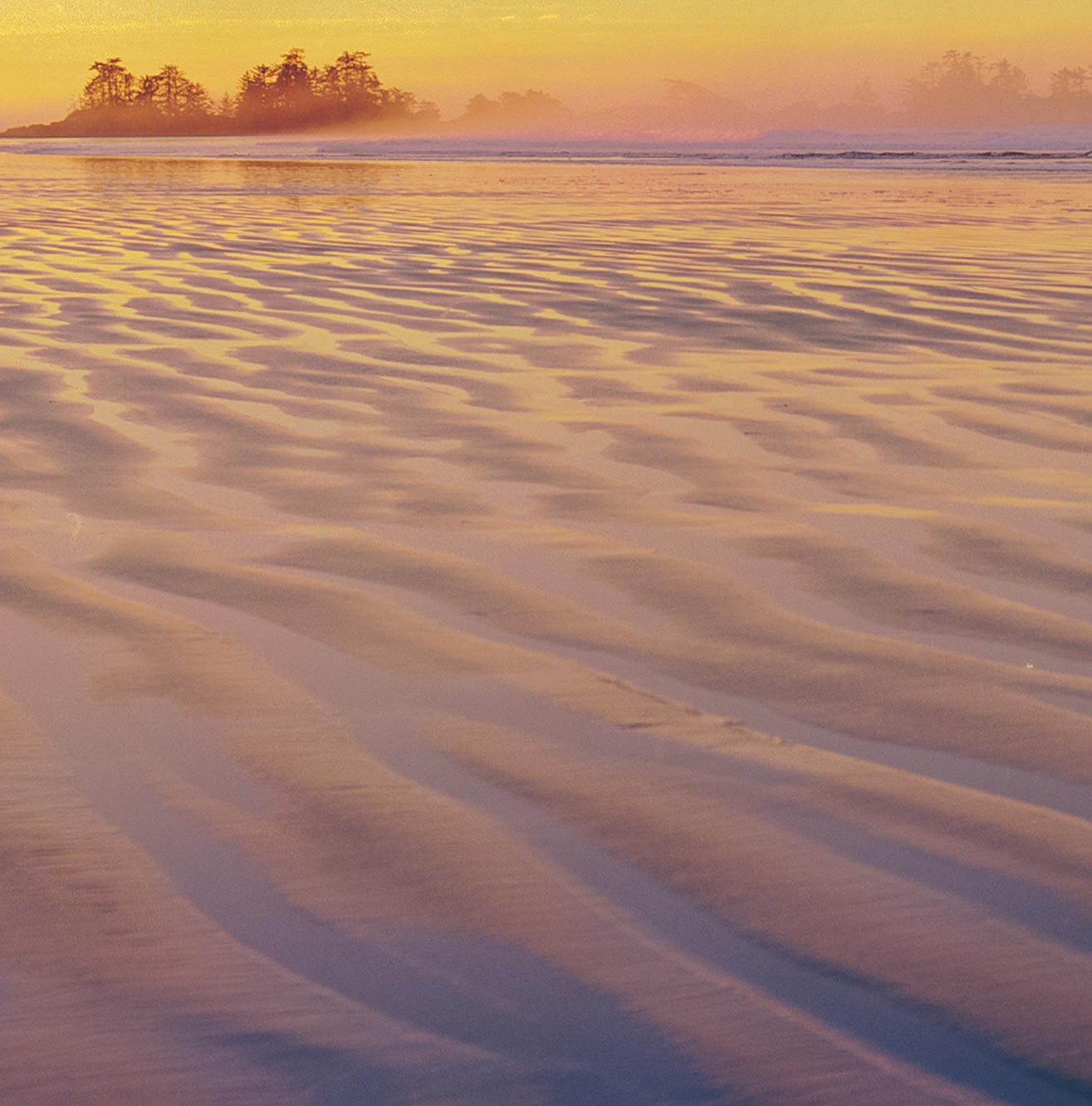 Sunrise Surf, Chesterman Beach