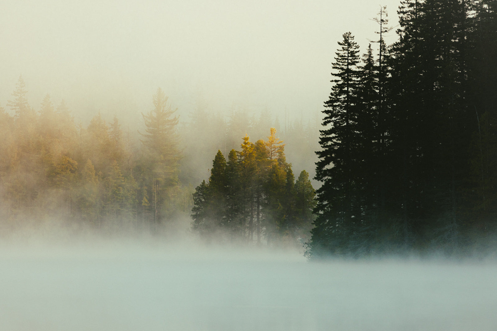 Autumn Mist, Amour Lake II