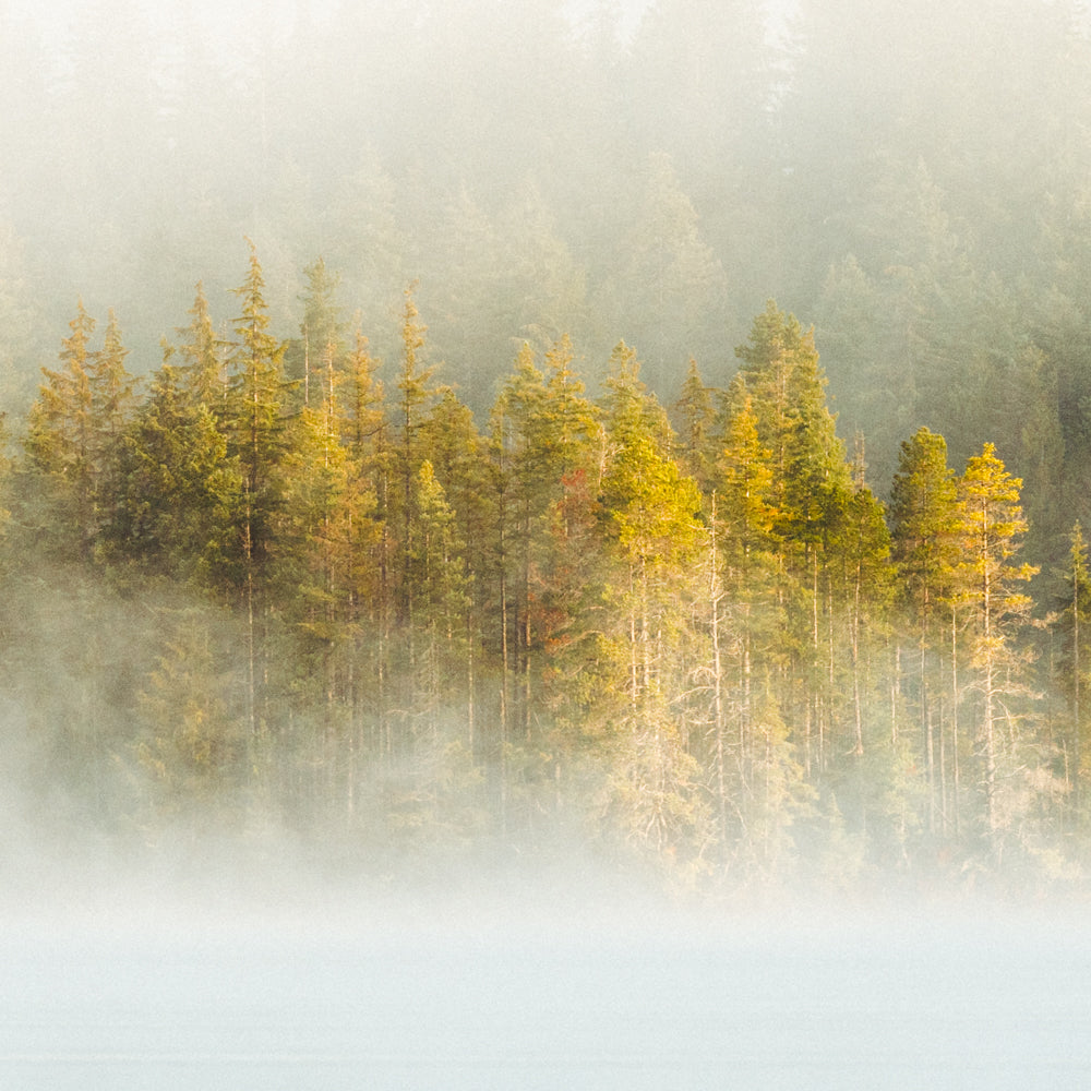 Autumn Mist, Amour Lake III
