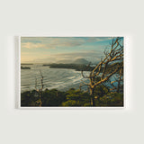 Summer Swell