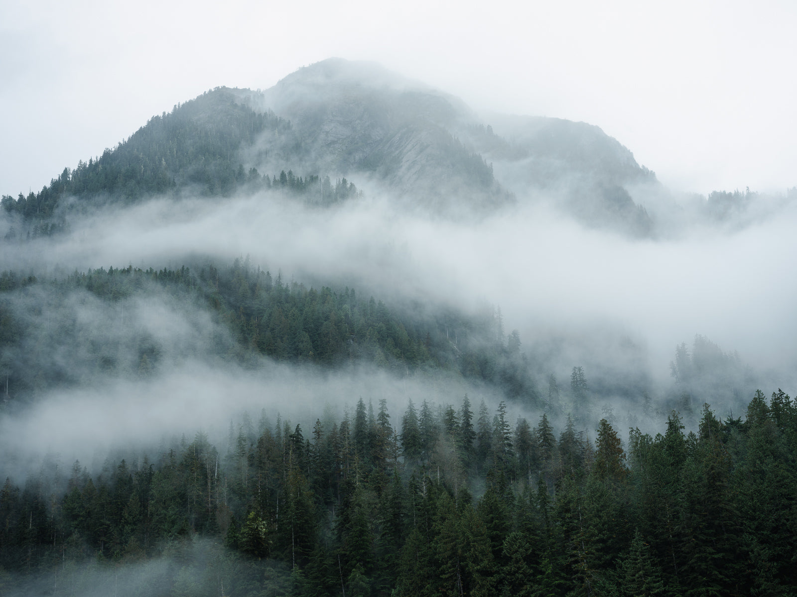 Great Bear Foggy Mountainscape I